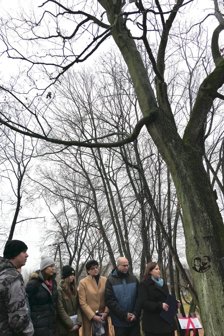 Fotografia kolorowa pionowa, przedstawiająca zgromadzonych gości, z prawej strony widoczny klon